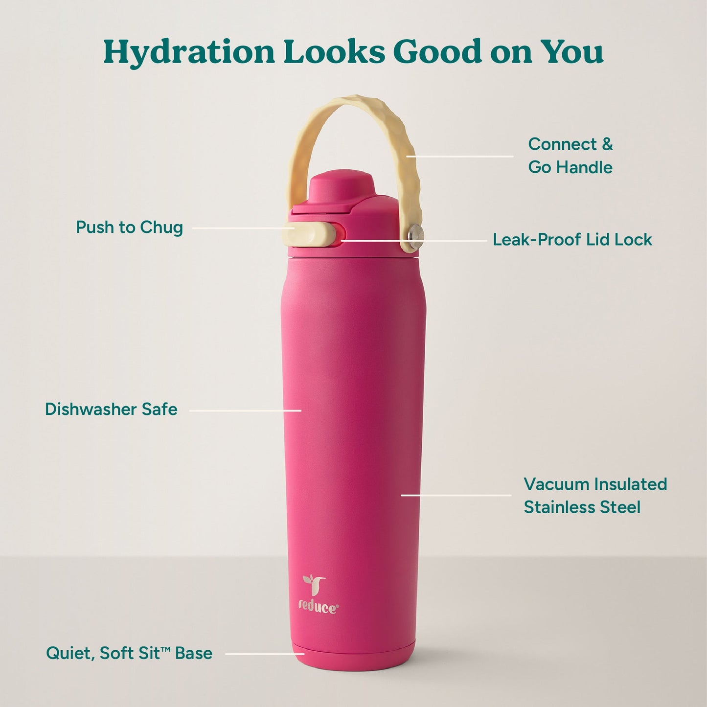 aura-26-oz-e6 Aura_26oz_DragonFruit_PDP_Infographic_2-03.jpg