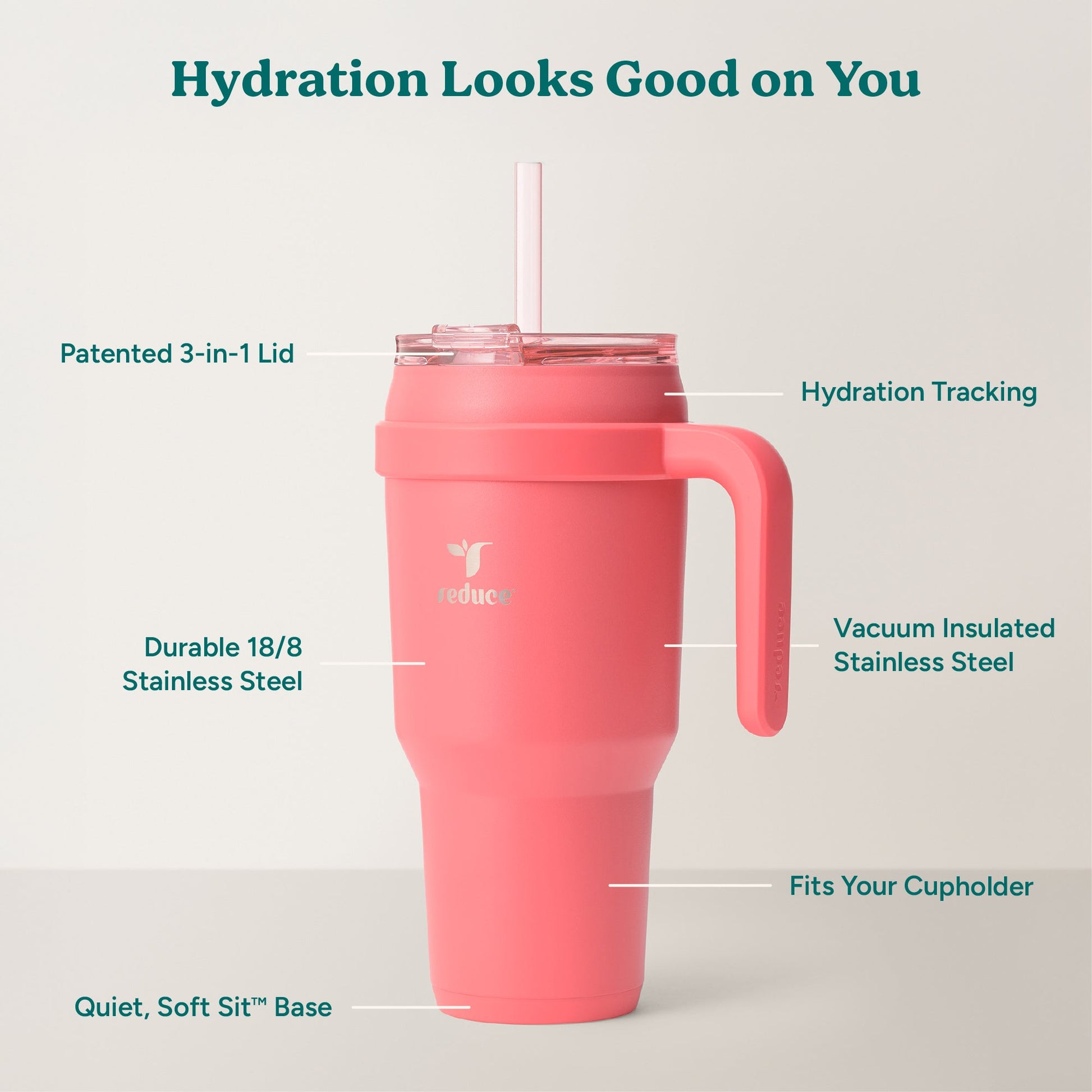 cold1-40-oz-s7 Cold1_40oz_Daiquiri_Infographic_2.jpg