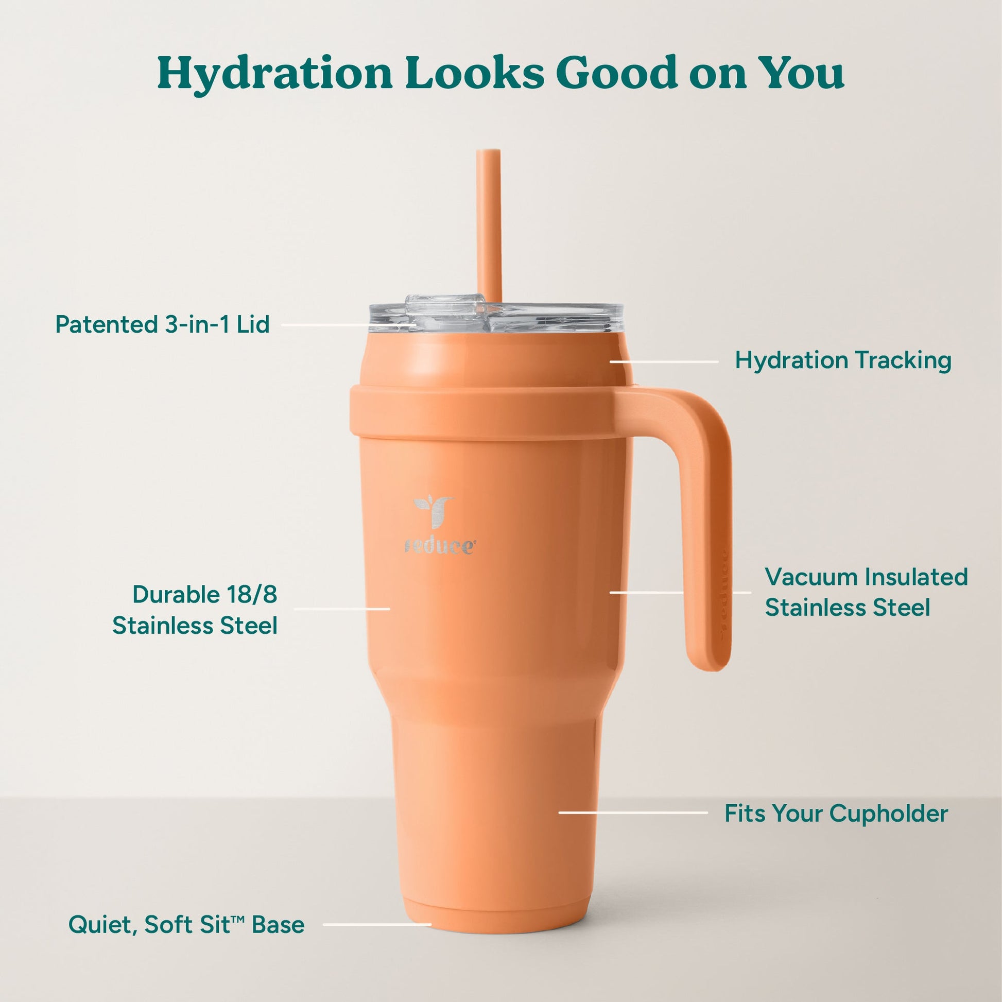 cold1-40-oz-s7 Cold1_40oz_Papaya_Infographic_2.jpg